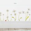 Daises - Image 2