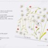 Daises - Image 3